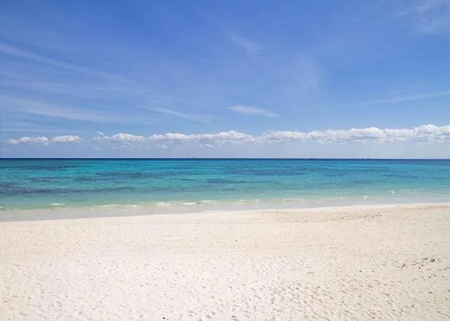 Lejlighed Luxury Ocean View Condo In Mareazul Beach Front - Almajuma House Playa del Carmen